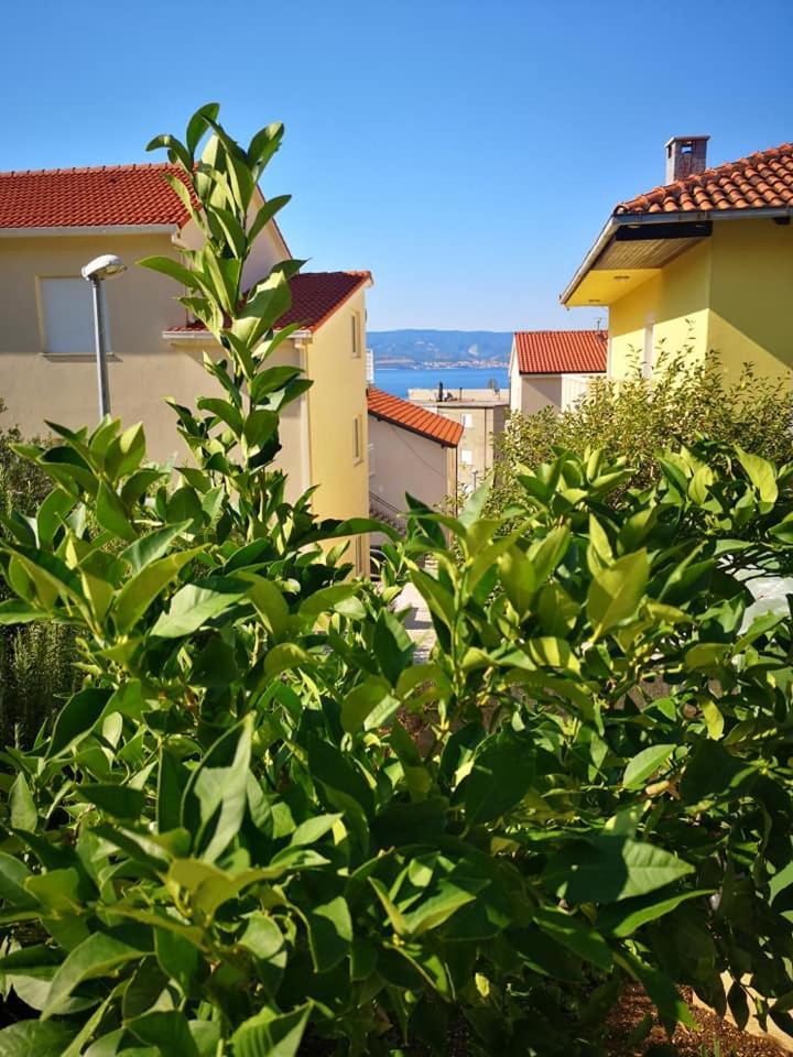 Apartmani Livajic Duće Kültér fotó